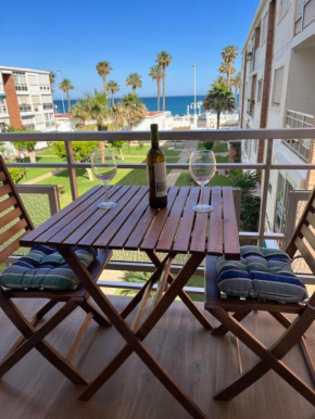 Delfín verde, Benalmadena